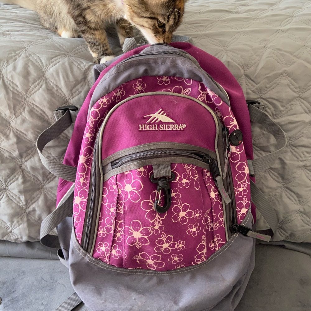 HIGH SIERRA BACK PACK